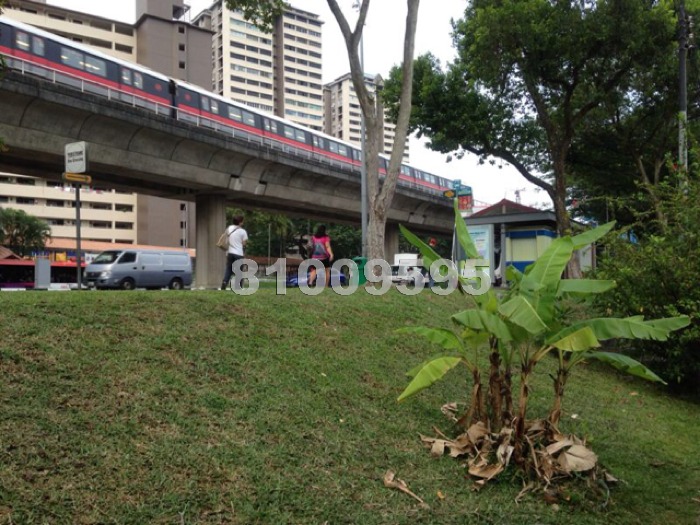 Opera Estate (D15), Terrace #674222